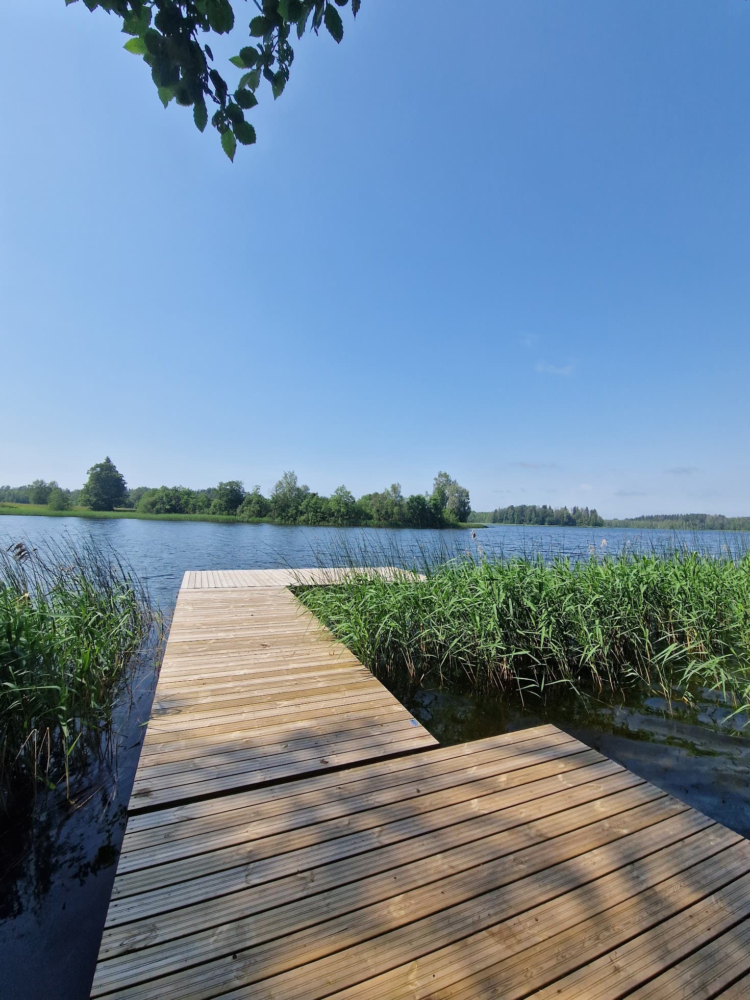 Nõuni järv – ujumisvõimalused